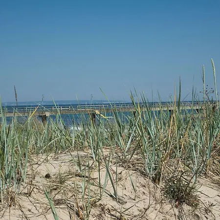Kleines Aber Feines Ferienhaeuschen In Strandnaehe - Tiny Nr 814 Holiday home *