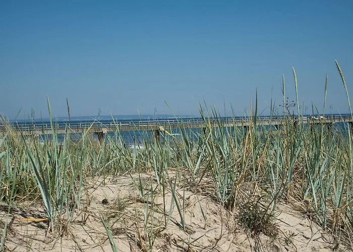 Tiny Nr 814 Semesterbostad *